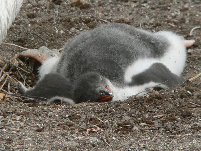 ../../Pictures/241209/153 abgefuellt.JPG